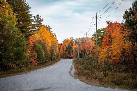 Best Places to See Fall Foliage in the U.S.: A Luxury Traveler's Guide to Fall Escapes