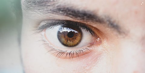 Your Retina Holds the Key to Your Vision - Here’s How Omaha’s Specialist Helps Protect It