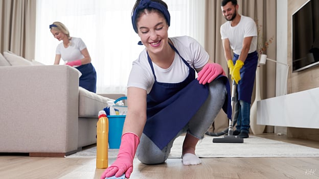 Tampa Bay Cleaning: Elevate Your Lifestyle with Professional Services