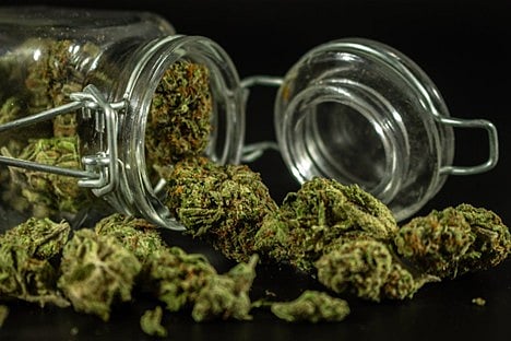 The Modern Buyer's Guide to THCA Flower Shopping