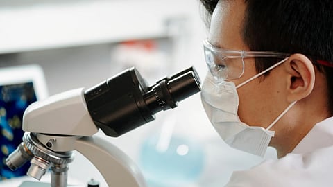 Researcher looking through microscope 