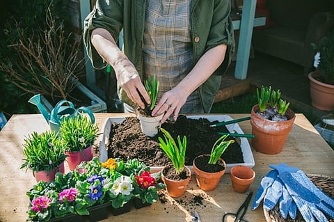 Garden Paths and Flower Beds: Little Details That Sell