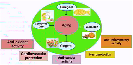 Future-Proof Your Health: Better Aging Through Supplements