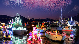 Fireworks illuminate the night sky as yachts sparkle through Newport Harbor