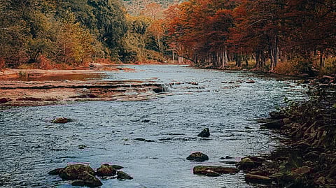 Cost of Living in New Braunfels TX: A 2025 Guide