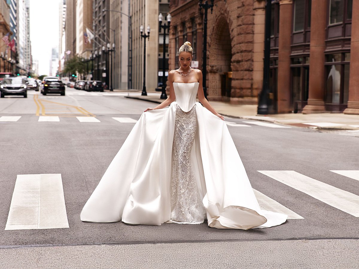 Success Secrets: Top Wedding Dress Designers' Journeys Success Secrets: Top Wedding Dress Designers' Journeys