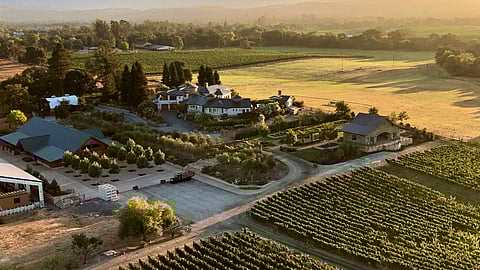 Golden hour over Bricoleur Vineyards in Sonoma’s Russian River Valley