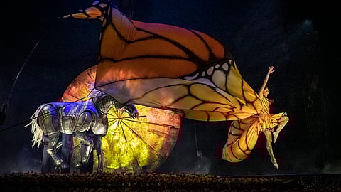 Luzia_Genève2022_AnneColliard