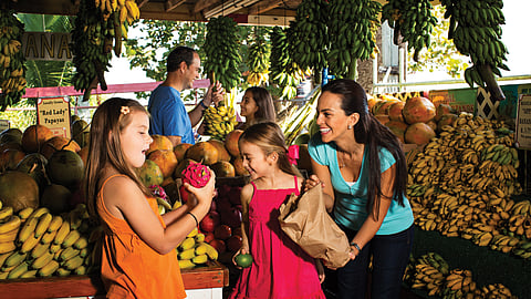 Miami-Dade Farmers Month