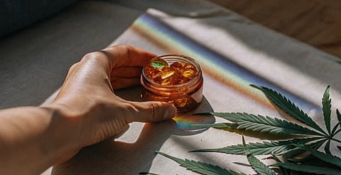 How Long Does It Take for CBD Gummies to Work?
