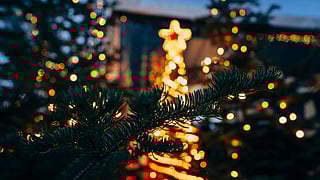 Holiday Lights Display