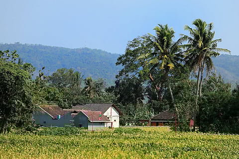 How to Plan a Secure Luxury Farm Stay