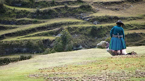 Woman in traditional clothing standing beside terraced fields in Peru
