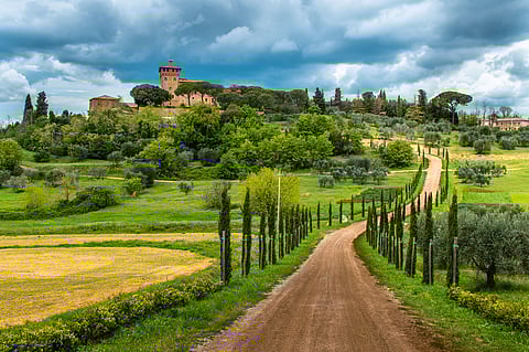 Tuscany, in the Chianti region