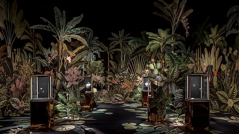 Jungle-inspired Cartier exhibition with illuminated vitrines showcasing Panthère jewelry