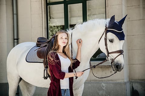 Design Your Ideal Equestrian Life: What Every Luxury Horse Owner Should Know Before Investing