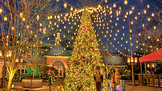 Christmas tree and holiday lights glowing in the courtyard at Tavern on the Green in Central Park