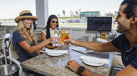 Guests toasting with drinks at Ten Palms overlooking the Gulfstream Park racetrack