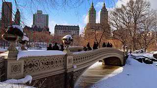 New York City Central Park in winter