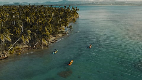 Aerial view of Michès Playa Esmeralda coastline with palm trees and kayakers