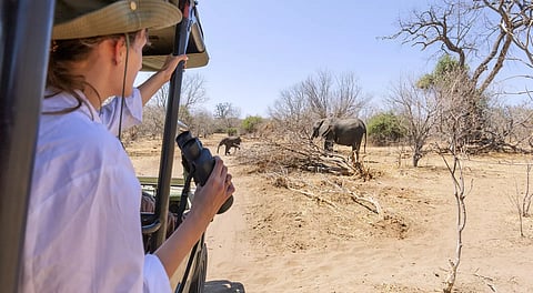 Where the Wild Lives Gently: The New Language of African Safari Lodges