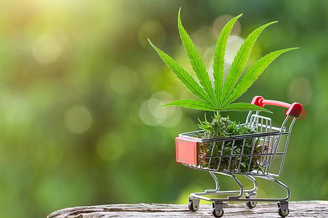 Smart Cannabis Shopping: What Every Consumer Should Look For