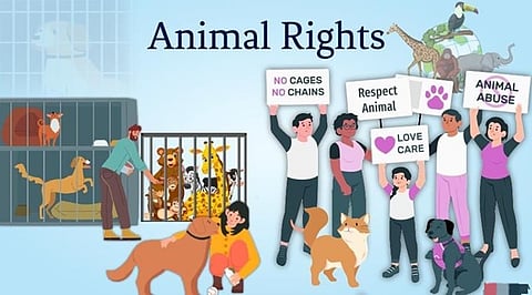 Common Misconceptions About Animals and Housing Rights Explained