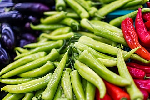 How Spicy Are Hatch Chiles? Your Guide to Heat Levels, Creative Cooking, and Preservation Techniques