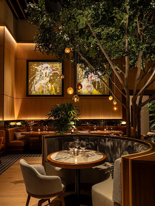 Cactus Club Cafe Opens in Downtown Miami on February 10