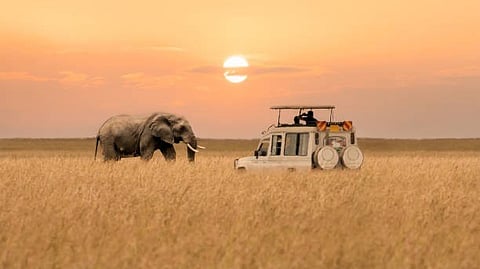Ultra-Luxe Conservation Safari in Masai Mara: 2026's Legacy Destination