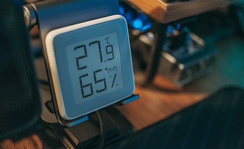 4 Smart Home Tactics to Deter Rodents