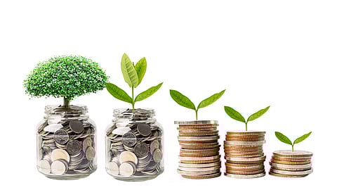 Coins stacked with growing plants symbolize wealth building, savings, and financial stability