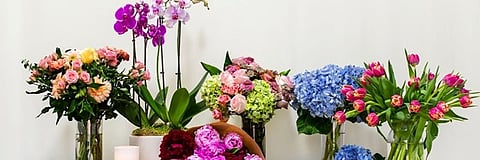 A vibrant collection of floral arrangements 