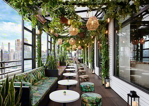 Gansevoort Meatpacking rooftop bar with trailing greenery and Manhattan skyline views