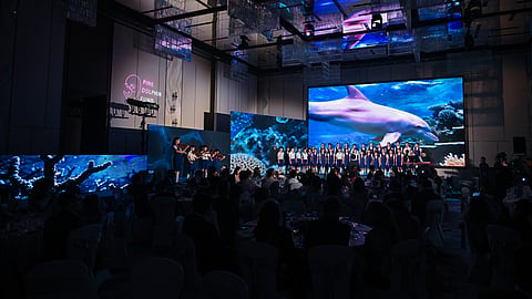 Large-scale event with stage performance and pink dolphin visuals