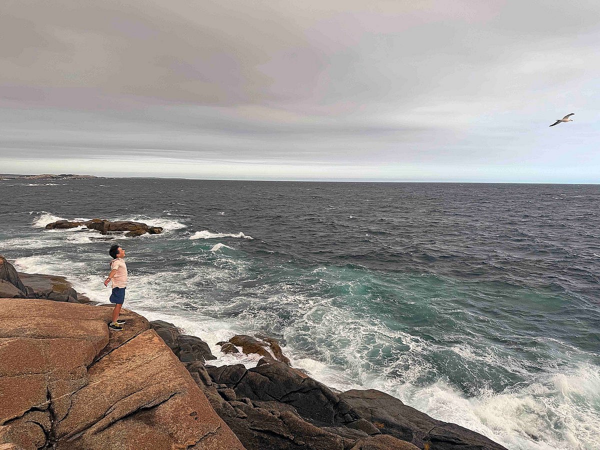 Wild Beauty and Coastal Wonders of Nova Scotia