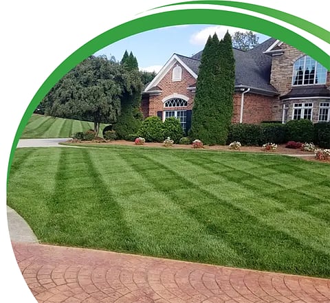 a professionally maintained residential lawn