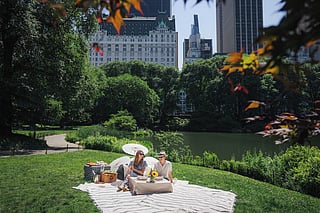 Picnic in Central Park near The Plaza Hotel