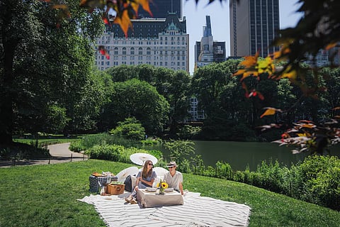 Picnic in Central Park near The Plaza Hotel