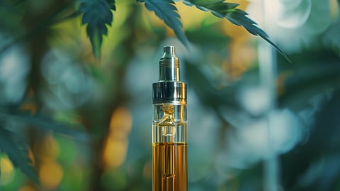 Close-up of an electric dab rig filled with cannabis concentrate beneath green leaves