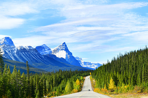 Road through the Canadian Rockies with snow-capped mountains and pine forests