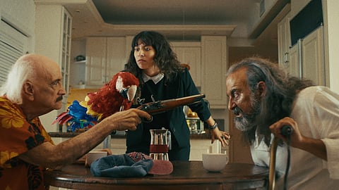 The Old Man and the Parrot