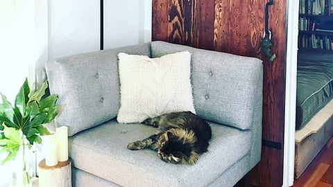 a Crate and Barrel Petrie Midcentury Corner Chair in heathered grey fabric