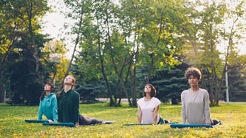 Participants practice yoga outdoors in a park surrounded by trees and natural scenery