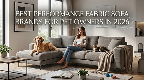 Best Performance Fabric Sofa Brands for Pet Owners in 2026