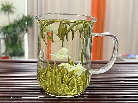Chinese Jasmine Tea