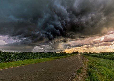 Dark storm clouds looming over a rural road between cornfields at dusk.