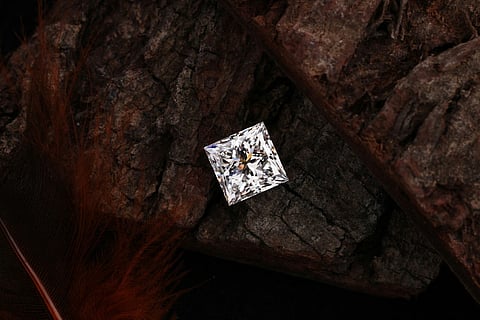 a square-cut clear gemstone resting on dark, textured tree bark