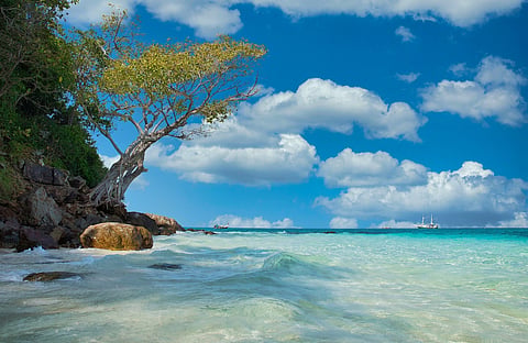 Tropical beach.