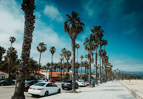 Palm-lined coastal street with parked cars.
